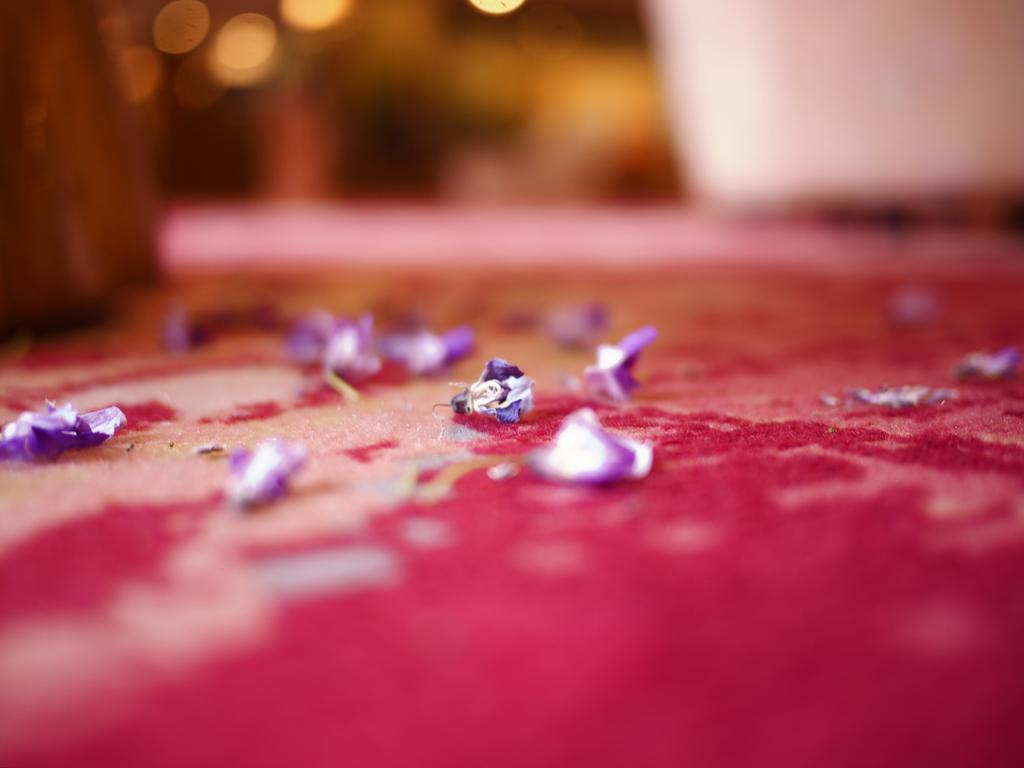 Aso Plaza Hotel Кумамото Екстериор снимка